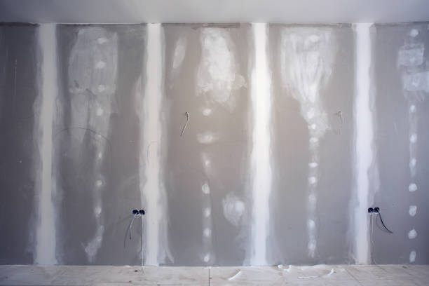 Wallpaper Removal and Painting in Lochbuie, CO